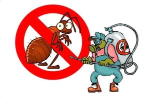 Безопасное уничтожение тараканов